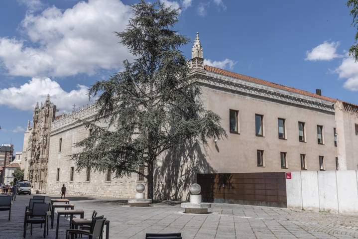 29 - Valladolid - ciudad - colegio de San Gregorio